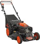 Top 10 Best Lawn Mowers 2026