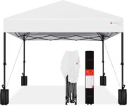 Top 10 Best Canopy Tents 2026